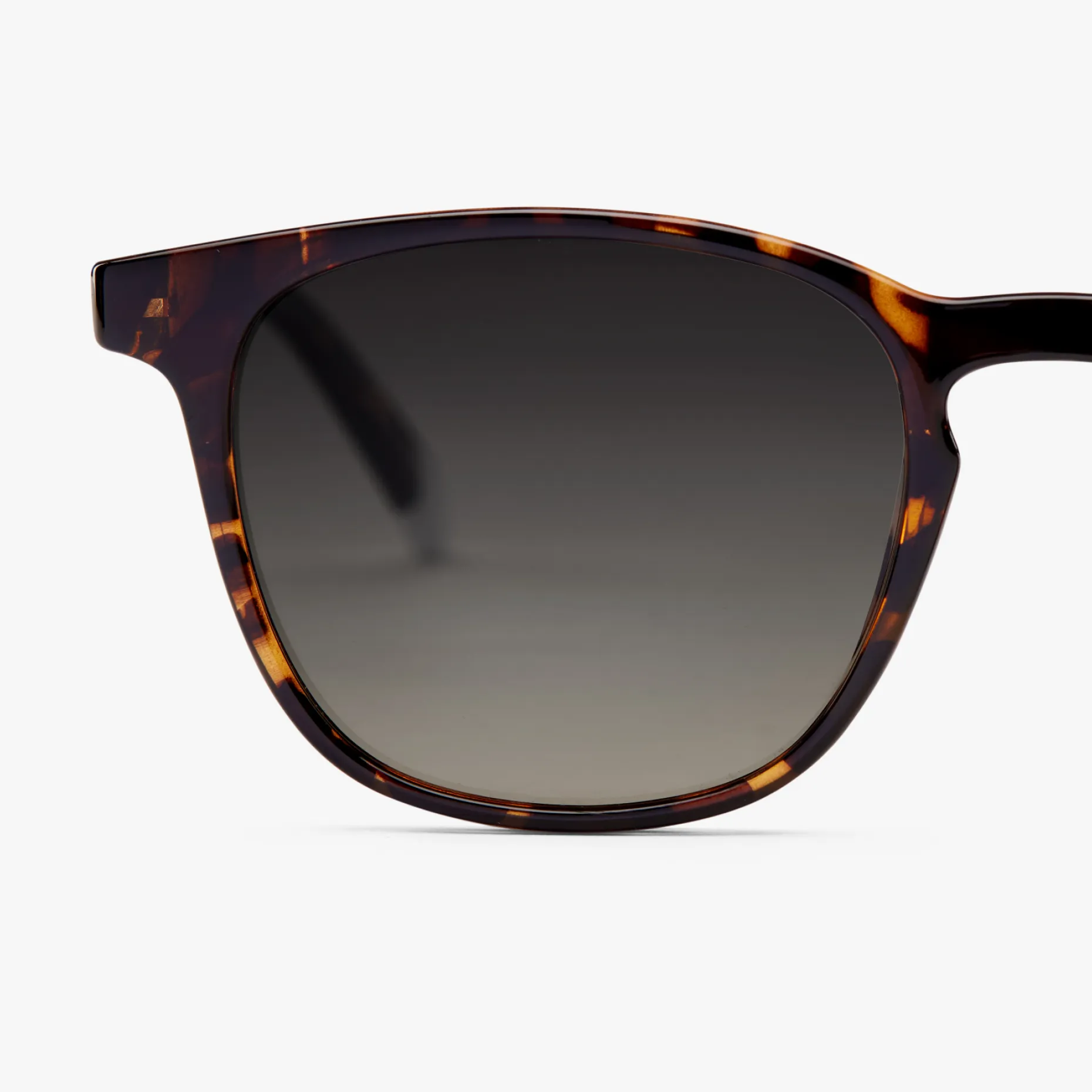 Dalston Glossy Sun - Image 22